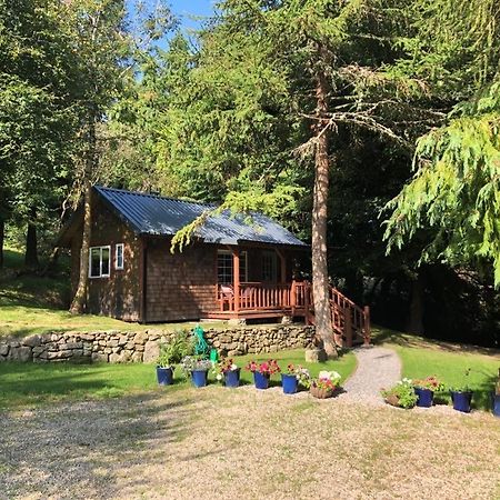 Willow Lodge Δουβλίνο Εξωτερικό φωτογραφία