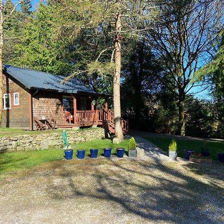 Willow Lodge Δουβλίνο Εξωτερικό φωτογραφία