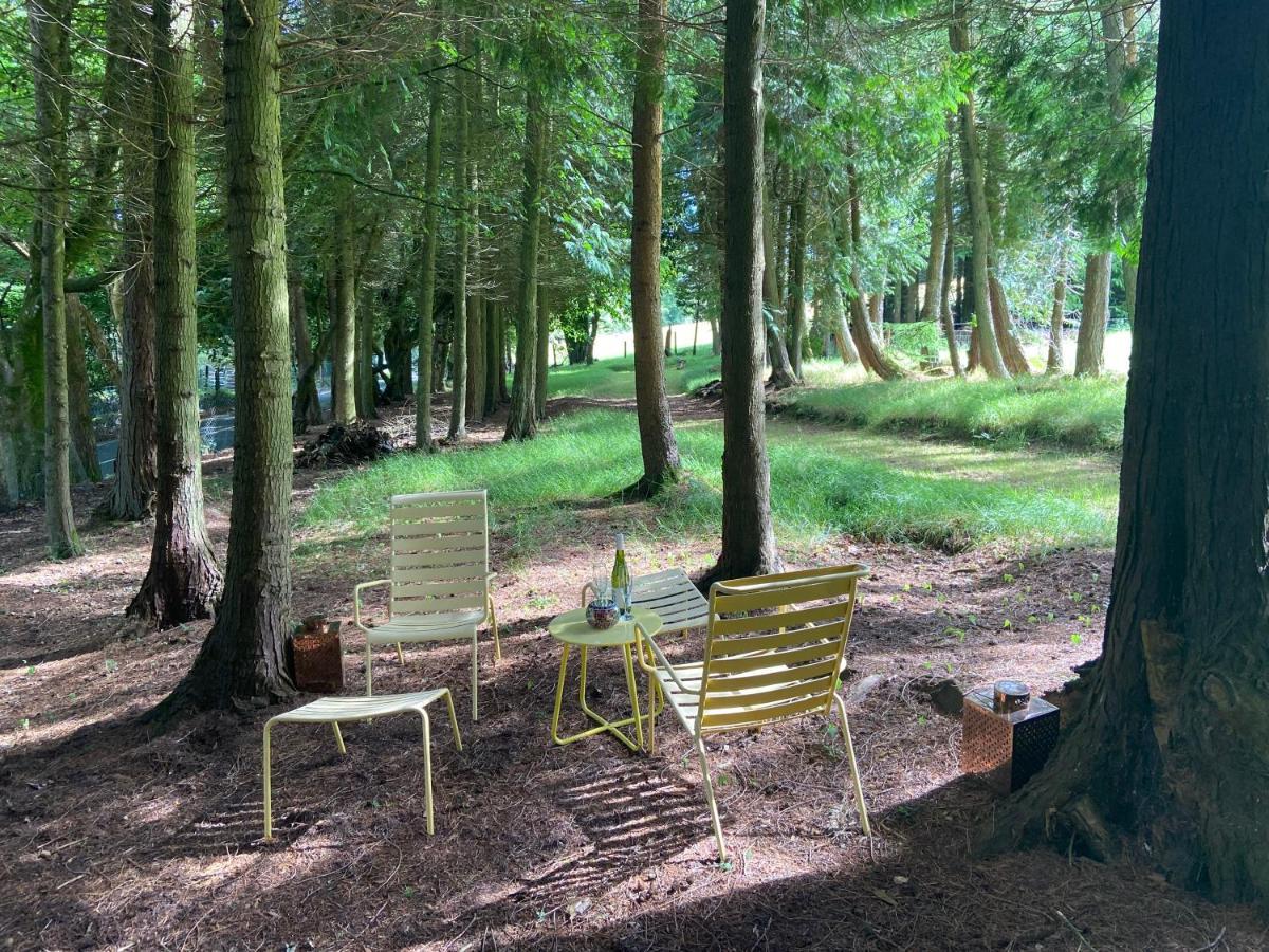 Willow Lodge Δουβλίνο Εξωτερικό φωτογραφία