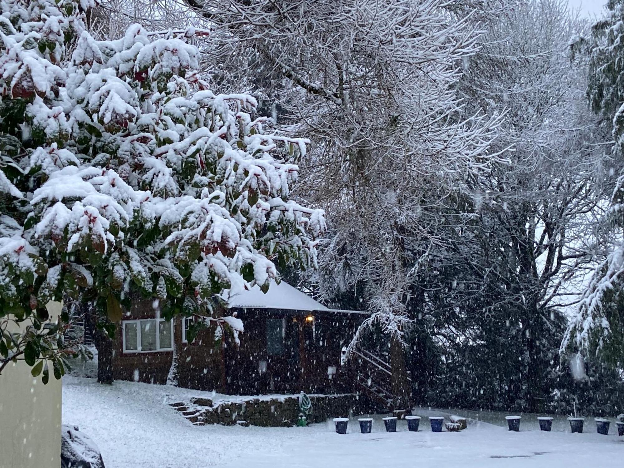 Willow Lodge Δουβλίνο Εξωτερικό φωτογραφία